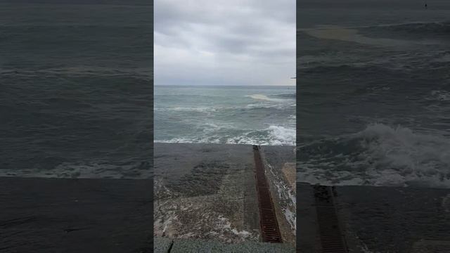 Шторм #shortsvideo #shorts #short#sea#штормнаморе #helenlin1