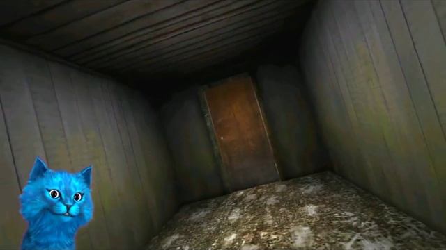 котёнок лайк