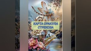 Совет вселенной ....