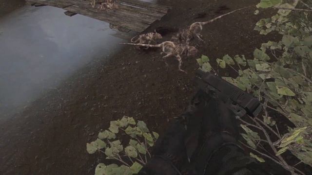 STALKER NLC 7➤v 3 7 5 ➤ прохождение часть ➤50#охота,кровососы,Диодор