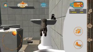 2# играем в стимулятор кошки.я играю с другом...