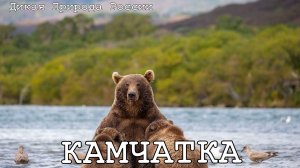 КАМЧАТКА - Дикая Природа России 2 серия