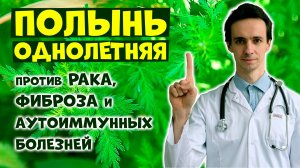 ПОЛЫНЬ против РАКА: популярное народное средство. Реально ли работает? Артемизинин: научные факты