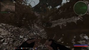 S T A L K E R Путь человека Тайник на выходе с Радара Проф  Пестрецовой