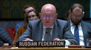 Statement by Amb. Nebenzia at a UNSC briefing on the situation in the Middle East