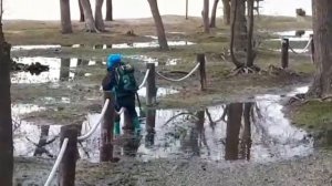 Рай для резиновых сапог.