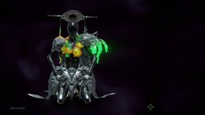 2096 день | награда за вход | варфрейм | warframe