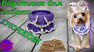 Воротник для собаки. Вязание крючком