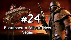 Ниптон. Выживаем в Fallout: New Vegas Фоллаут: Нью Вегас День 24