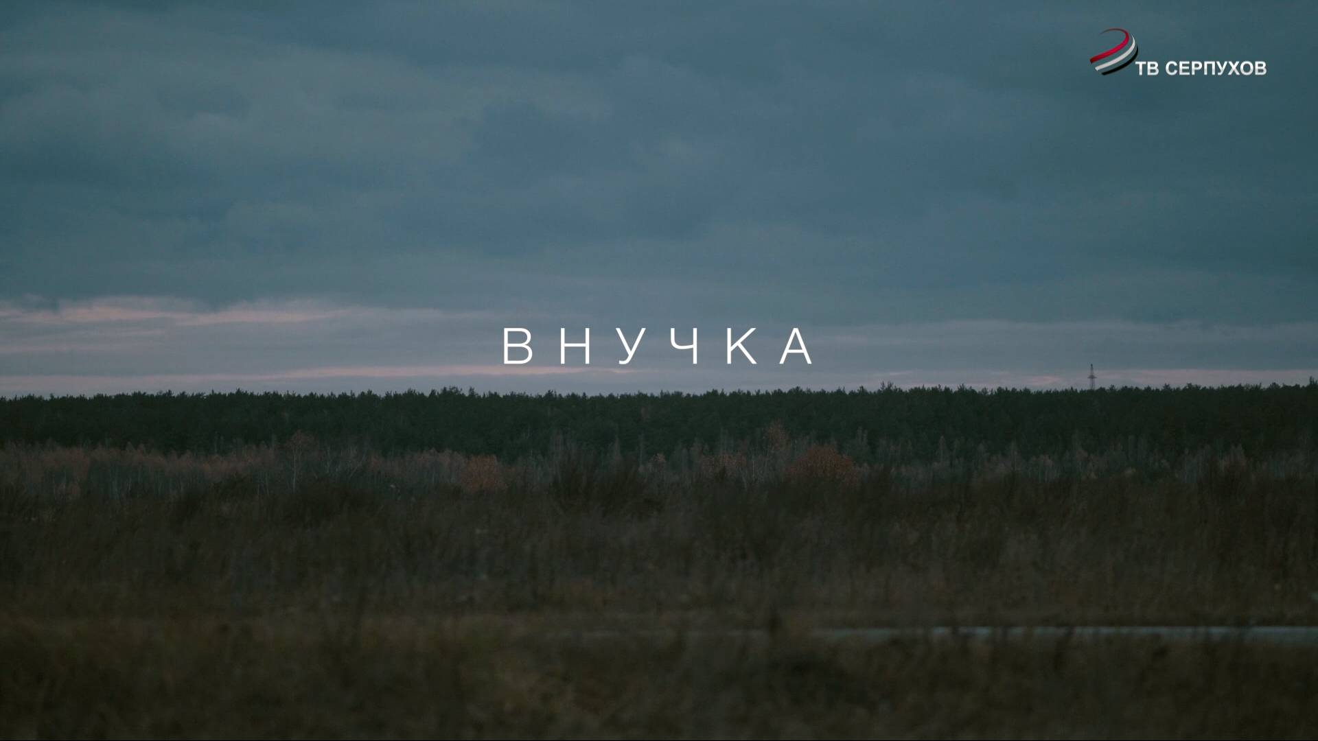 Внучка (Фильм)