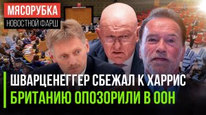 «Шварц» теперь за демократов || Небензя осадил наглую англичанку || Маск предсказал 2025 год