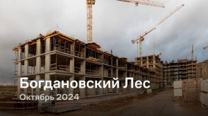 «Богдановский Лес» / Октябрь 2024