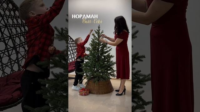 Ель искусственная «НОРДМАН». Обзор новогодней елки. Елки на best-elki.ru🌲Доставка по России🇷🇺