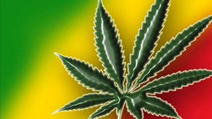 Dr. I-bolit Legalize it!