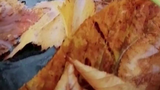 Моя история - Любовные истории