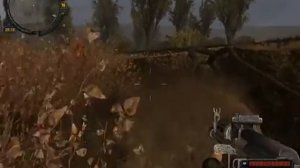 Прохождение STALKER долина шорохов часть 1