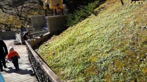 Май  2018. Талеж. Едем за водой