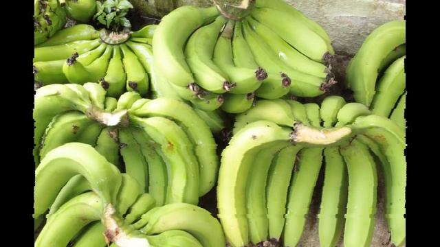 Le Cok Sportif - Légume (Official Audio) смотреть онлайн