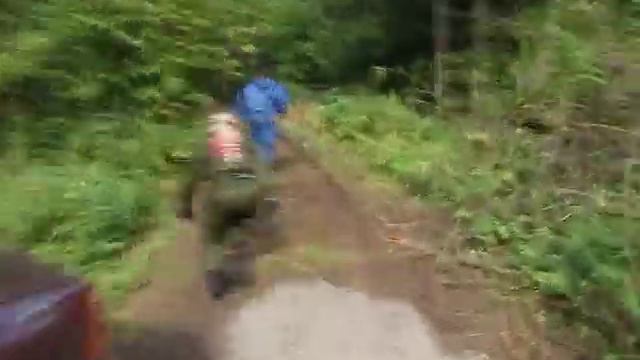 снорк кушать хочет ученого смотреть онлайн