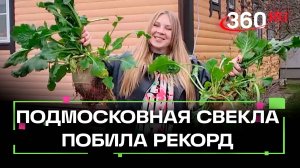 БК_СТРИНГЕР_СВЁКЛА_СТУПИНО_РС_100_ТГ