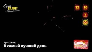 Салют "В самый лучший день" 1.0"-1.2"х67, арт. СС8812
Салютыч