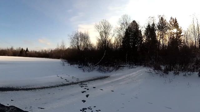 Прогулка до озера(без рыбалки) с собакой.