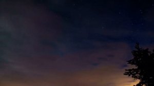 Стих любимой жене от мужа