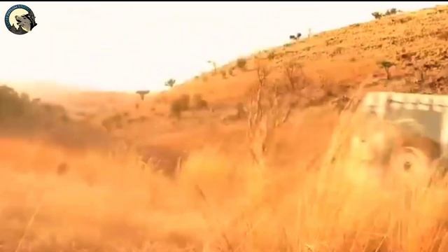 Prey (2007) Movie Explained In Hindi। Wildlife Safari जब बन गया एक मौत का खेल।