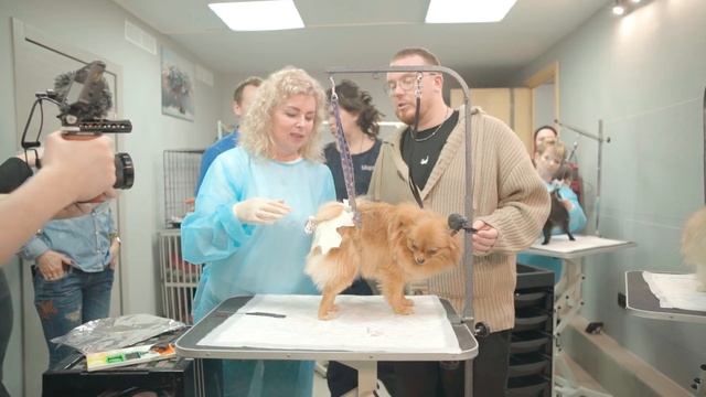 Шоу «Первая леди!» / 9 программа смотреть онлайн