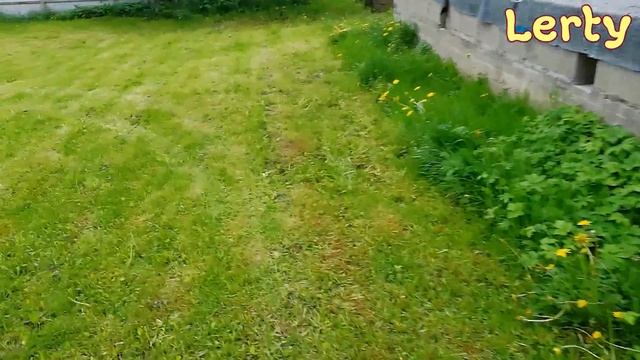 Бурение скважины на нашем участке. Раздавили куст шиповника(
