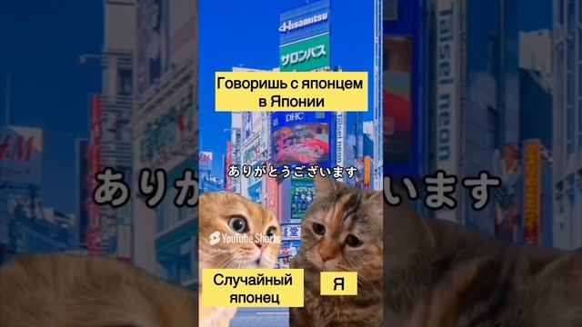 КАК ОШАРАШИТЬ ЯПОНЦА 🤯