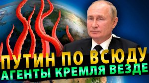 Гипножабы на службе Путина или щупальцы России расползлись по всему миру