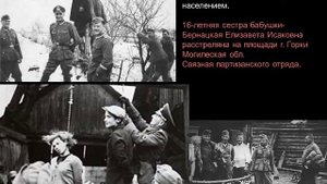 Мой прадедушка на войне