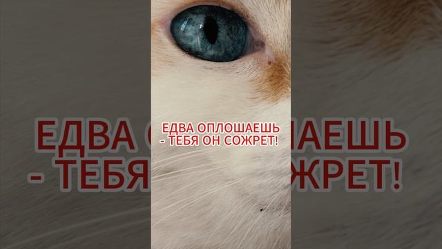 Язык словно лев