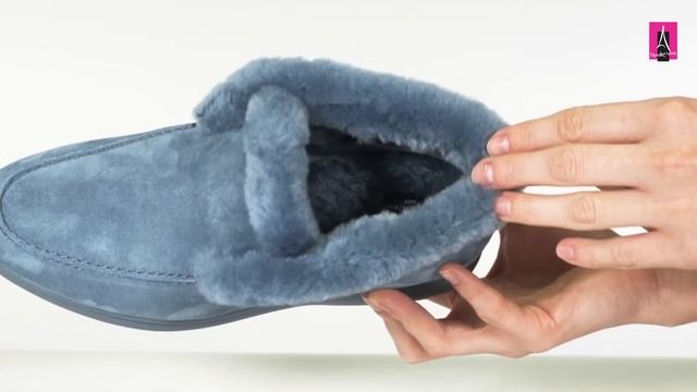 Видеообзор I Женские полуботинки TENDANCE 2867405 смотреть онлайн