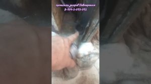Ночное рандеву и мешок денег.