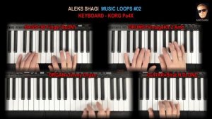 ALEKS SHAGI 2024-1022 Music Loops 02