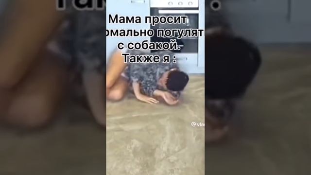 Полная бесамемуща #m9 #standoff2 #стандофф2 #кейс #стикерпак #кб #союз #табуретка #standoff #дуэль смотреть онлайн