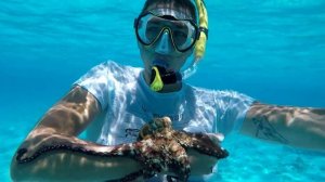 Beautiful Maldives and gesthouse VILLAGE HIDEAWAYS & SPAS Fulhadhoo Island.