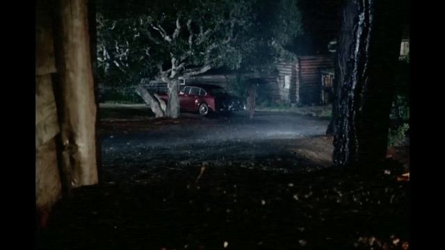 The Victim (1972)