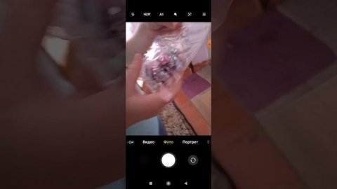 новая Тапа лапка