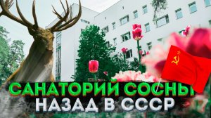 «Сосны»: МАШИНА ВРЕМЕНИ в архитектурное наследие СССР в 20 км от Москвы