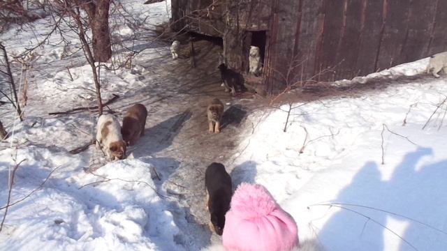 ЗАГОРЬЕ 21.01.2022