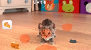 ПРИКЛЮЧЕНИЕ МАЛЕНЬКОГО КОТЕНКА мультфильм про котят мультик для детей про кота и Желейный Медведь