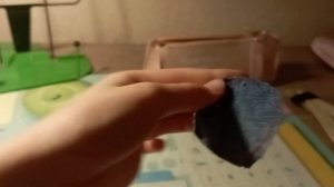 Делаем тапочки--сланцы для БАСИКА!