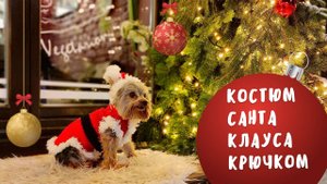 Новогодний костюм Санта Клауса для собаки крючком