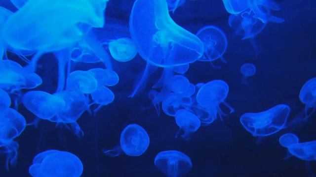 Ambient Study Music To Concentrate - Improve Your Focus And Concentration смотреть онлайн