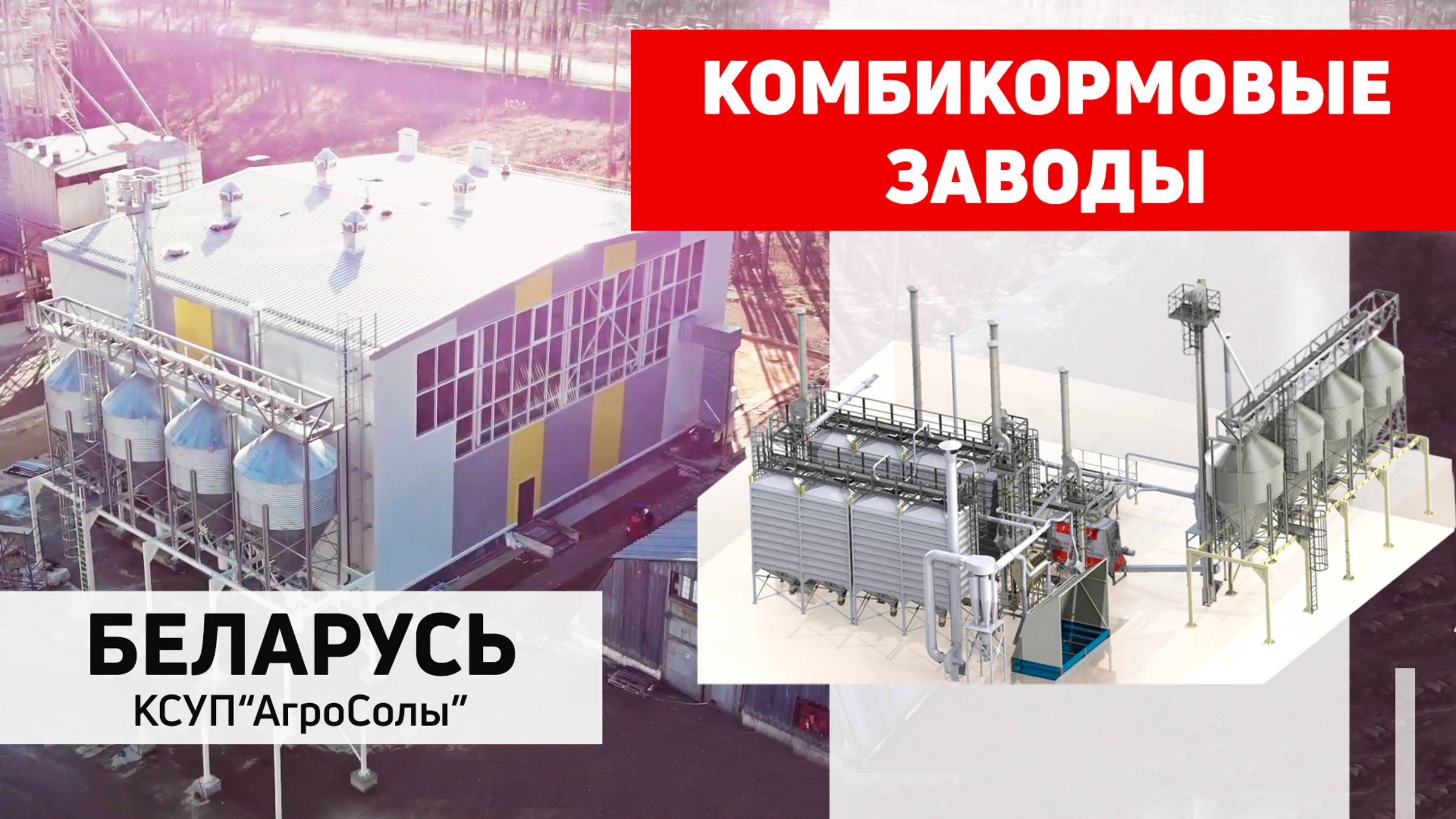 Линия приготовления рассыпных комбикормов КОПК-5Р Полымя. КСУП "АгроСолы"