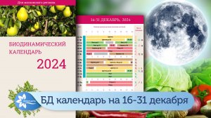 Биодинамический лунный календарь на вторую половину декабря 2024.