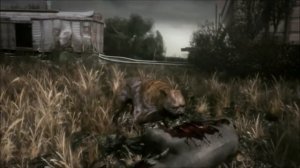 S.T.A.L.K.E.R. |  песня "чистое небо" клип